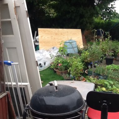 Pauline's garden