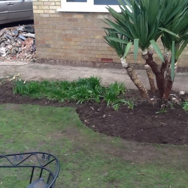 Pauline's garden