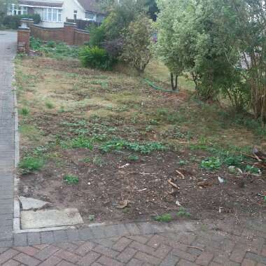 Christina's garden