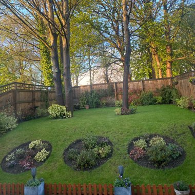 Robert's garden