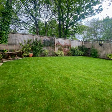 Robert's garden