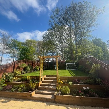 Robert's garden