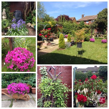 Rodel's garden