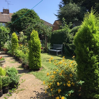 Rodel's garden