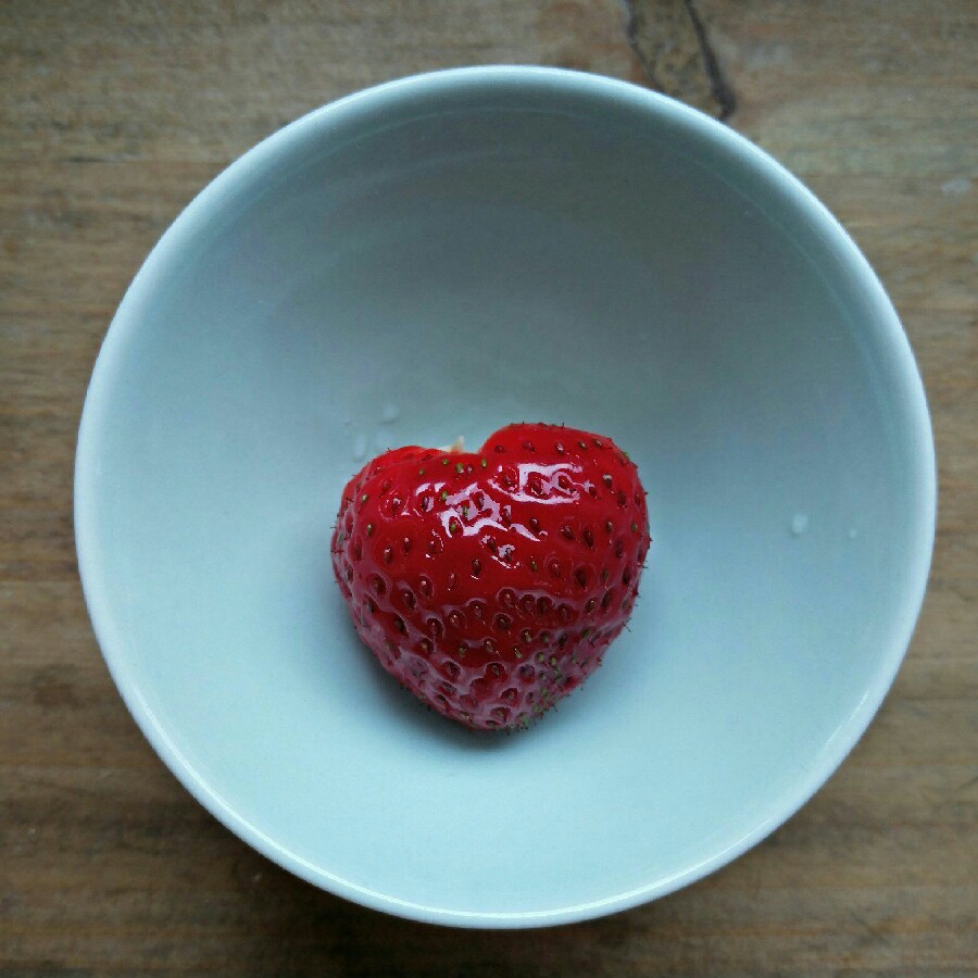 Strawberry 'Elsanta'