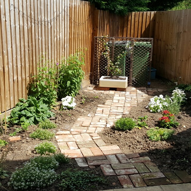 Rose's garden