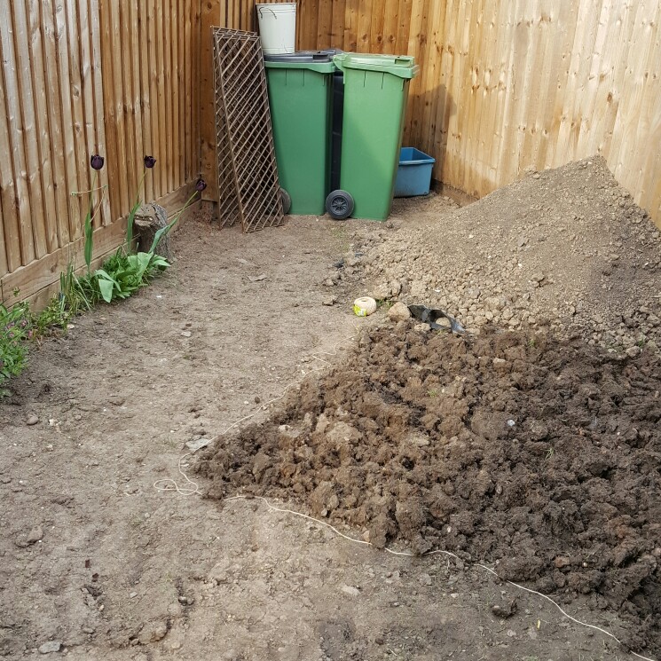 Rose's garden