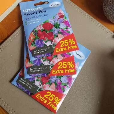Lathyrus Odoratus 'Old Fashioned Mix' (Mix)