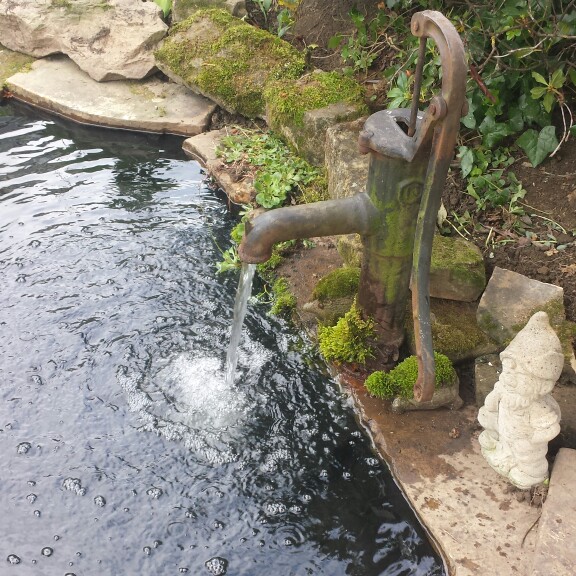 Karen's garden