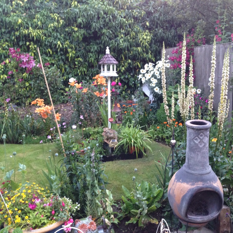 Rosina's garden