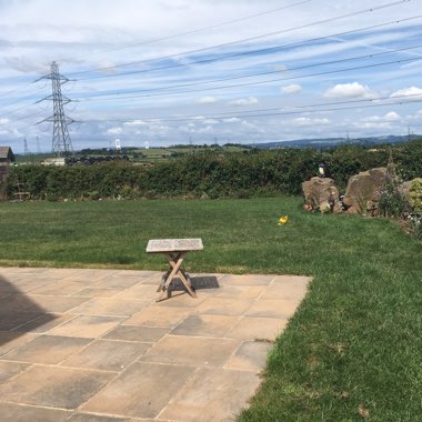 Rozi's garden