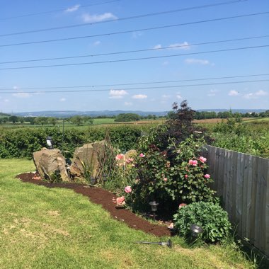 Rozi's garden