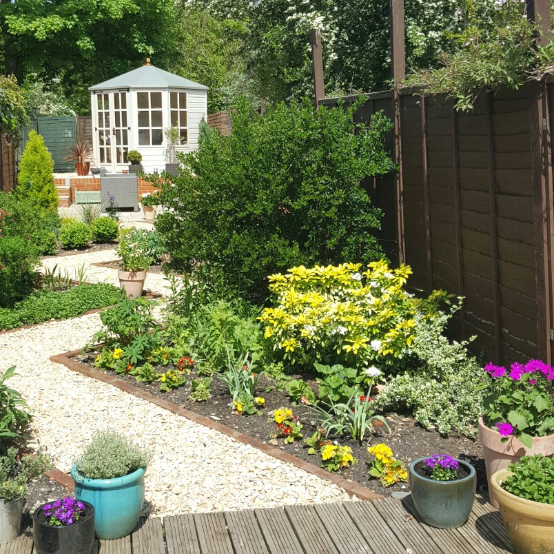 Ross's garden