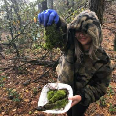 Sphagnum (living plant), Peat Moss (decayed plant)