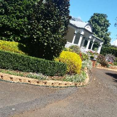 Russell's garden