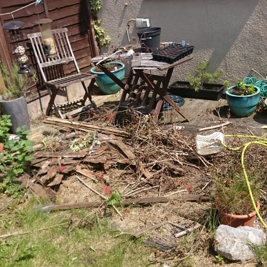 Anthony 's garden