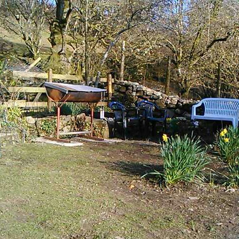 Sadie's garden