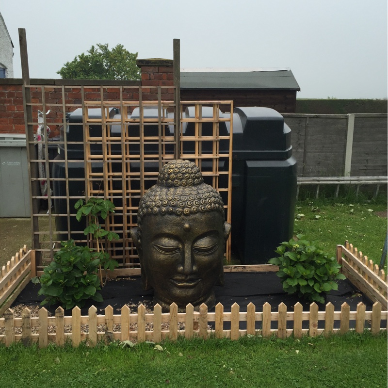 Sally's garden