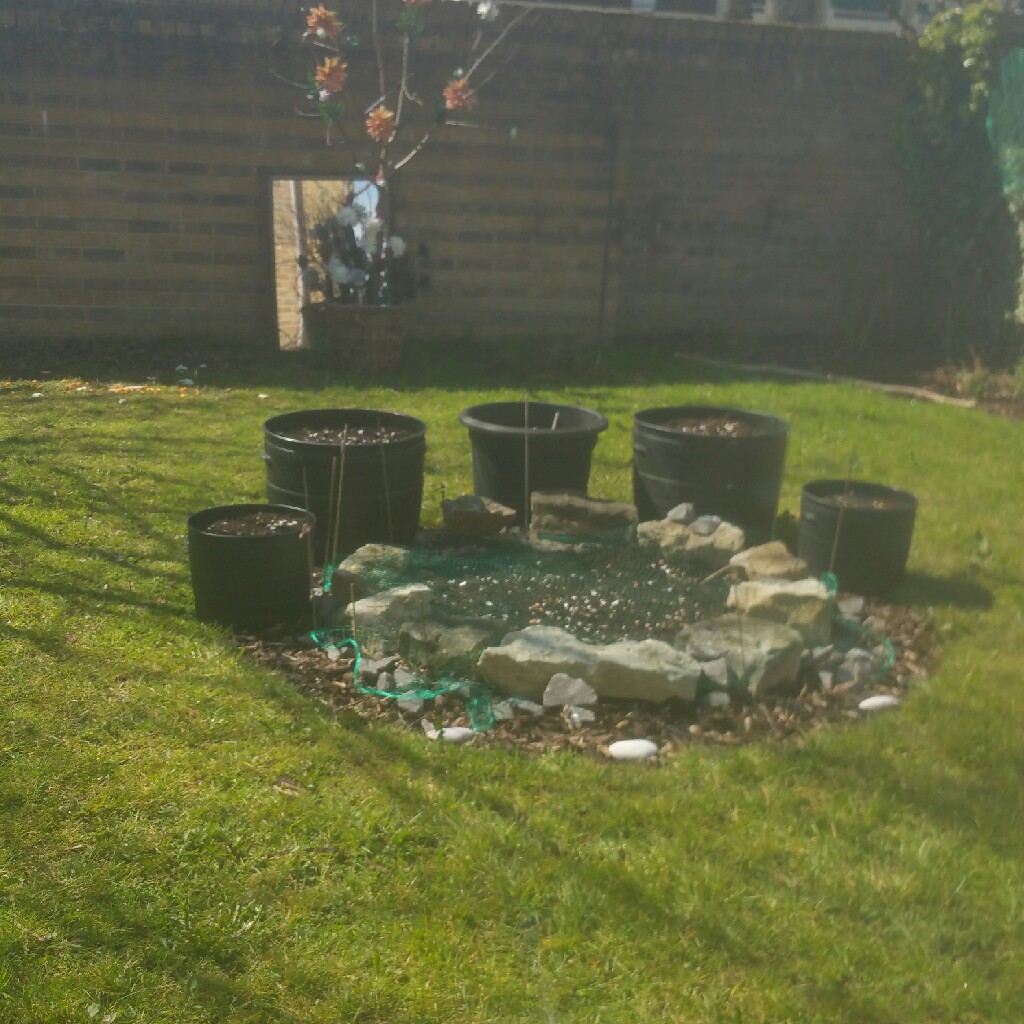 Sam's garden