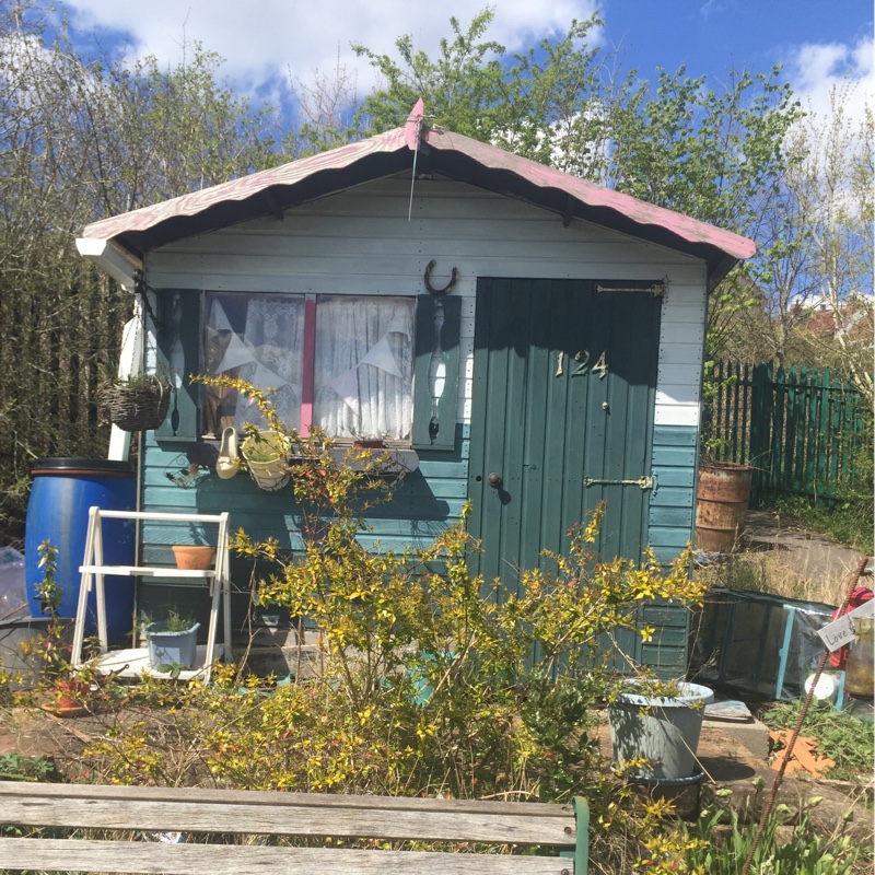 Samantha's garden