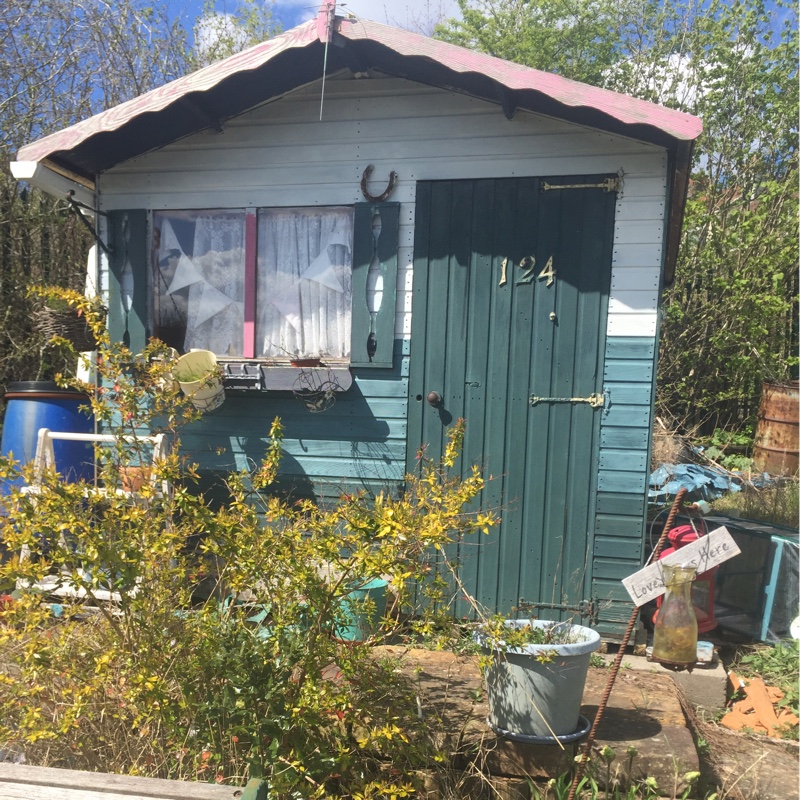 Samantha's garden