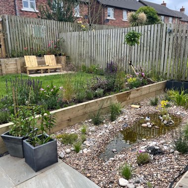 Sandra's garden