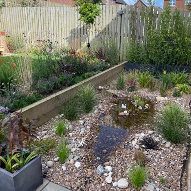 Sandra's garden