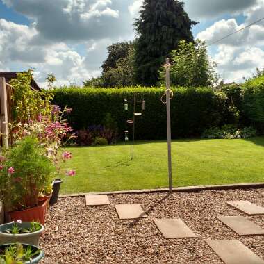 Sandra's garden