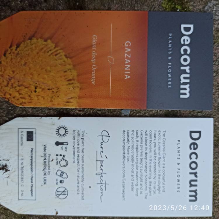 plant image 1667410 plant image 1667410