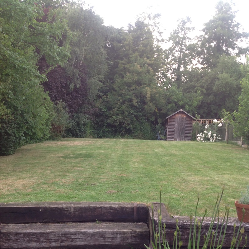 Sarah's garden