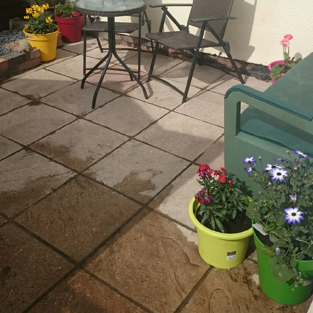 Sarah's garden