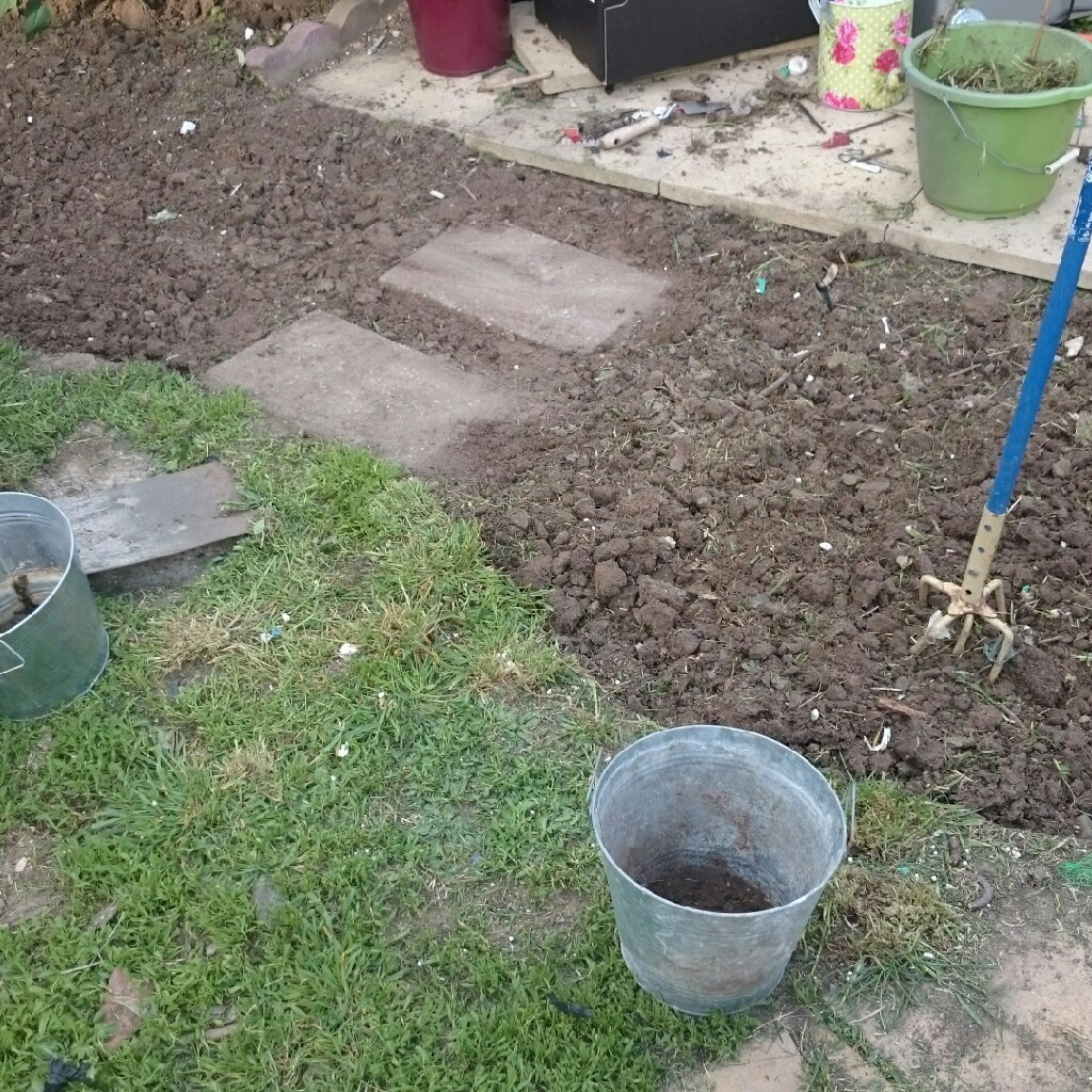 Sarah's garden