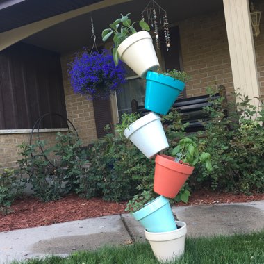 Sara's garden