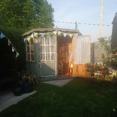 Jean's garden