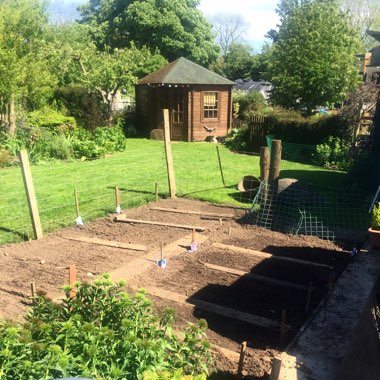 Stacey's garden