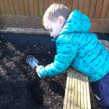 Sue's garden