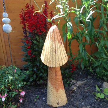 Sue's garden