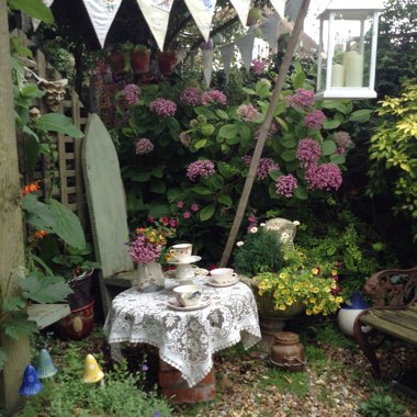 Trudi's garden