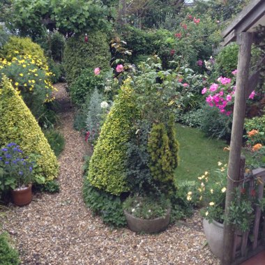 Trudi's garden