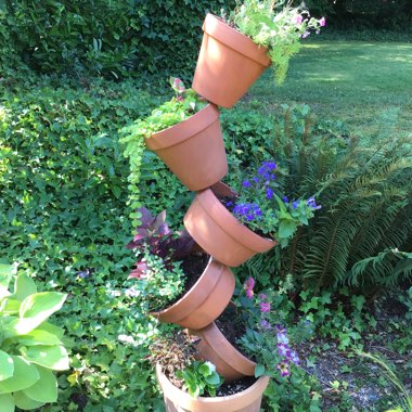 Colleen's garden