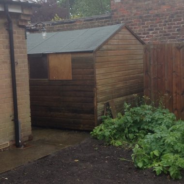 Alan's garden