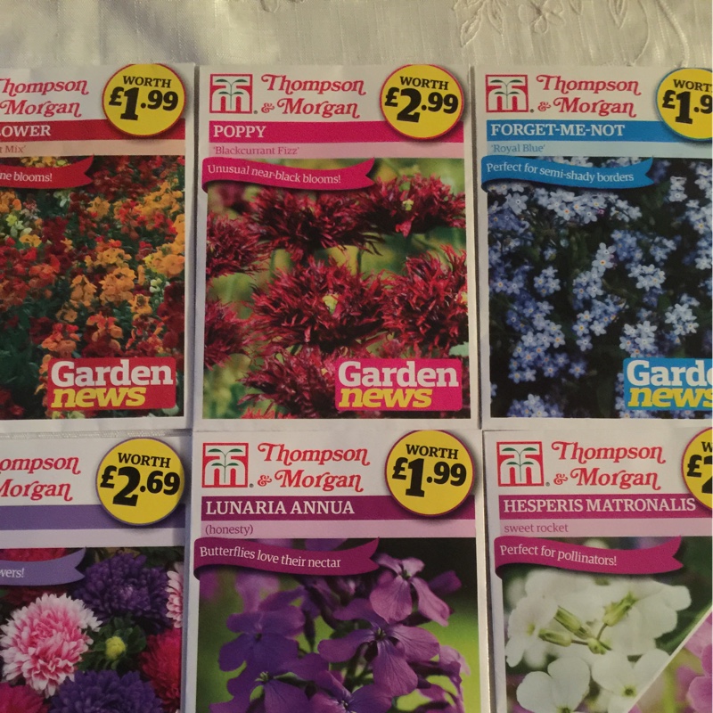Nigel's garden