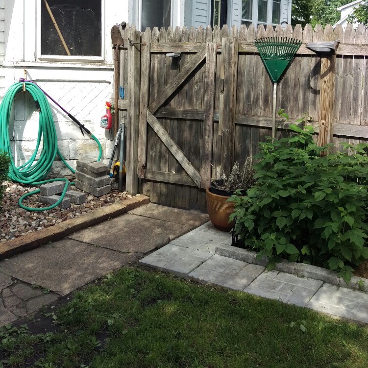 Shayla's garden