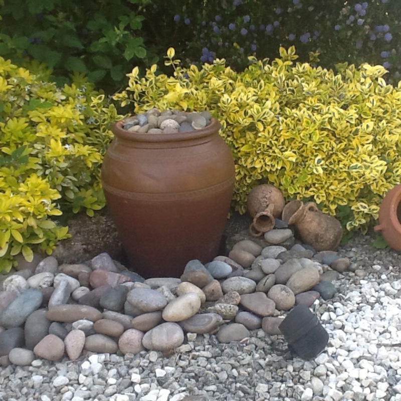 Sheila's garden