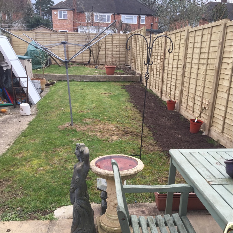 Sheila's garden