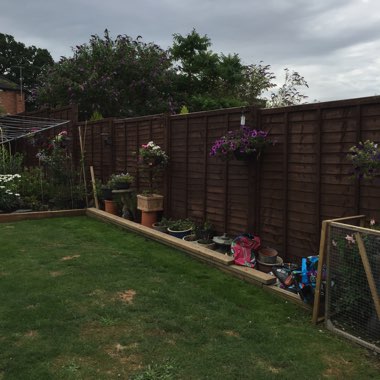 Sheila's garden