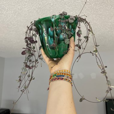 String Of Hearts