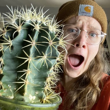 Golden barrel cactus