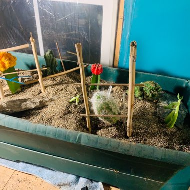 Danny's garden