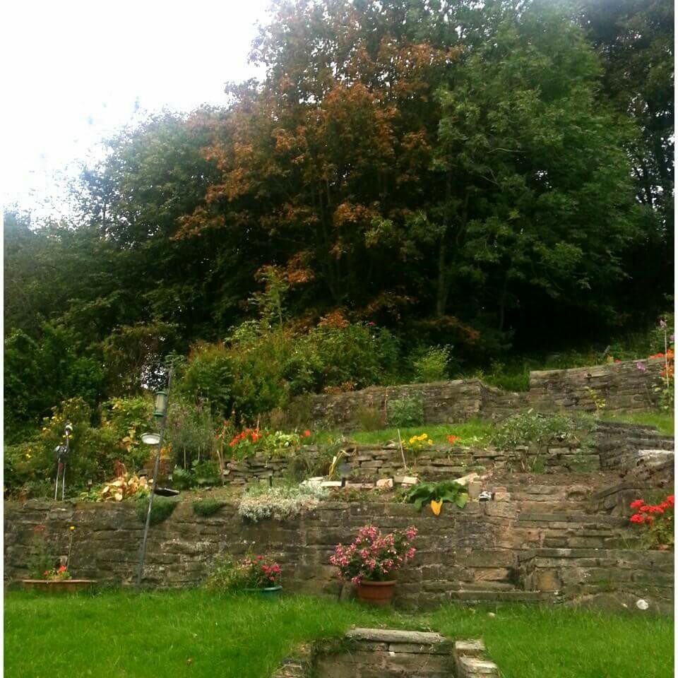 Shigufta's garden